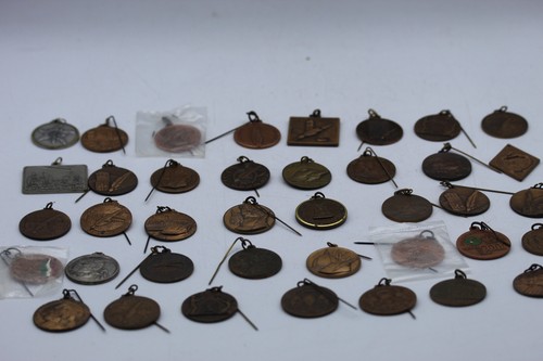 Medaglia alpini adunate - alpini,