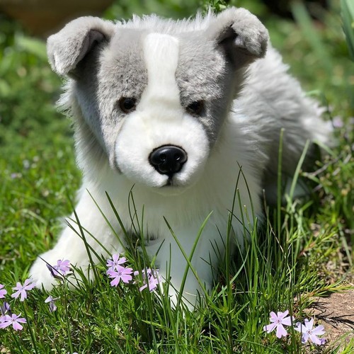 Auswella peluche pollici - auswella,