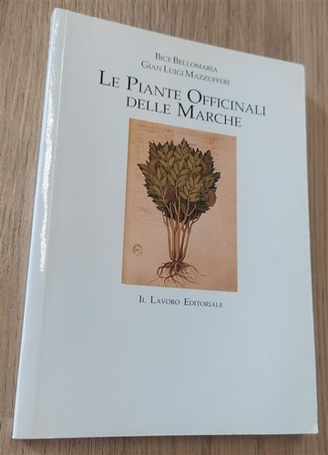 Piante officinali delle marche - piante,