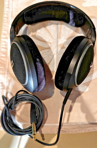 Sennheiser hd558