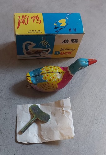 Anatra che nuota molla - che, made