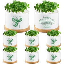 6 Pezzi Mini Pentole