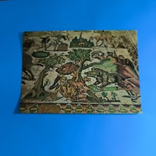 PIAZZA ARMERINA - CACCIA AL CINGHIALE  VECCHIA CARTOLINA A COLORI - COLLEZIONE