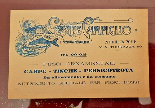 Biglietto pubblicitario cesare - biglietto,