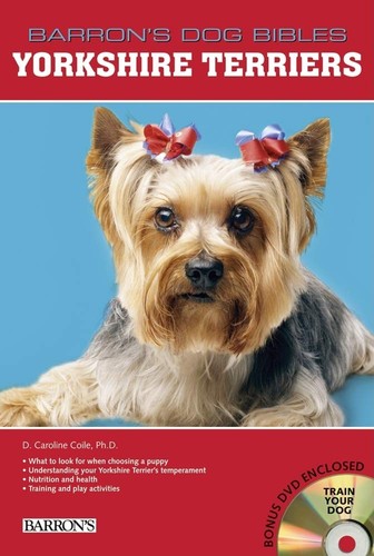 Yorkshire terriers - yorkshire,