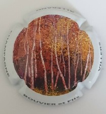 Capsule Jeroboam champagne