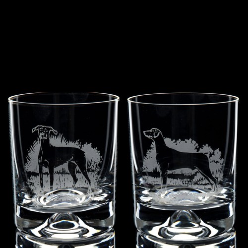 Bicchiere whisky per cani - bicchiere,