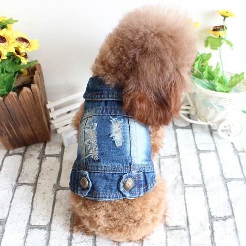 Giubbotto per cani vestiti - per,