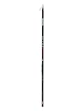 Daiwa Ninja Bolo 6 m 588 cm Canna da Pesca Bolognese per Passata Canna Telescopica per Pesca con Il Galleggiante