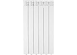 Fondital V666AM06406 Radiatore in alluminio pressofuso Exclusivo B3, 800 mm, 6 elementi, bianco