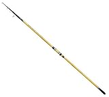 SHIMANO BEASTMASTER FX Surf Tele 4,25 MT 200 GR