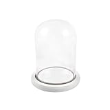 Campana di Vetro con Base in Legno, Cupola vetro esposizione vetrina Centrotavolo Porta candela Decorazione (8*15cm)
