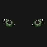 Mowgli Il Disco Della Giungla (Vinile Effetto Pantera)