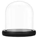 Belle Vous 10 cm Campana in vetro con base nera in legno, mini campana in vetro trasparente per luci, piante, decorazione da tavolo