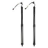 Molle a Gas Cofano Posteriore Sinistro Destro Posteriore Elettrico Portellone Gas Strut 32296296 32296297 Per Volvo Per XC40 536 2017 2018 2019 2020 2021 2022 2023 Ammortizzatori A Gas(Sono partiti)