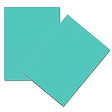 Kiuiom Linoleum Incisione,Blocchi di Intaglio in Gomma per Timbri,Lastra Incisione per Stampe,Gomma per Timbri Fai da Te,Ideali La Realizzazione di Stampe/Stampa su Linoleum,2 Pezzi,22x30cm,Blu