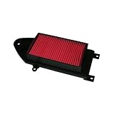 BCR HOKIO Filtro aria compatibile Kymco Agility R16 125/150/200cc elemento filtro d'aria aspirazione ricambio moto scooter Malaguti Ciak 125/150/200cc OEM 00117181 00162377 17211-KHB4-9000 6611003