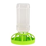 U-K Distributore automatico di acqua, abbeveratoio per tartarughe, rane, lucertole, tartarughe, rettili e piccoli animali, diversi tipi opzionali, verde, 10 10 4,2 cm