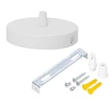 WUSJCOF Rosone per lampadario, scatola di connessione in metallo, paralume rotondo, calotta coprifili sospensione, adatto a tutte le lampade, con cavo e morsetto Flex, piastra di montaggio