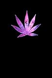 Cosmic Pot Leaf: Cool Cannabis Journal 6x9 With 120 Lined Pages Funny Marijuana Gift for Weed Lovers