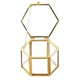 Anseom Scatola di Vetro per Gioielli, Porta Anelli Portagioie in Vetro Dorato Trasparente Scatola di Anelli Geometrica Esagonale Portagioie per Riporre e Esporre Gioielli (Oro)