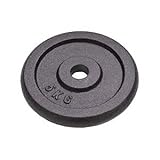 Coppia Dischi Pesi in Ghisa Nera da 5 Kg Foro 25 mm Alta qualità