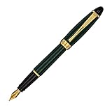 Aurora - Penna stilografica in resina IPSILON | Penna in resina verde con guarnizioni dorate | pennino in acciaio cromato di spessore M | confezione regalo