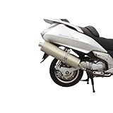 MALOSSI 3212283 Marmitta MAXI WILD LION, Compatibile con Honda FJS Silver Wing 600