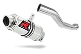 DOMINATOR Terminale di Scarico Marmitta Silenziatore GP1 compatibile con YZF R1 1000 RN09 2002-2003