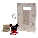 DLM-A769 Bomboniere 12 utili portafoto cm 10x4x4 Minnie su libri Disney con 12 sacchetti abbinati per Battesimo Comunione Cresima Compleanno Laurea Segnaposti Confettate