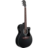 Ibanez Acoustic Guitar / VC44CEWK