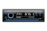 Blaupunkt BPA1124BT - Autoradio multicolore con Dab+, RDS, Bluetooth, 2 x USB