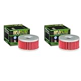 DB PARTS Set di 2 filtri olio compatibili con MASH 250 Two Fifty 2014 2015 2016 2017 2018