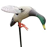 Anatre di Germano Reale, Anatre Esca Caccia, Telecomando Elettrico Decoy, Caccia Esche Caccia, Alimentazione a Batteria per Caccia più Veloce Esca