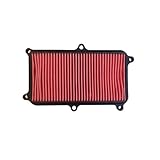 BCR HOKIO Filtro Aria Compatibile con Kymco People S I ABS/CBS 125cc-150cc 2017-2022 Ricambio per Scooter OEM 00117743