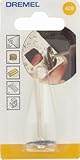 Dremel 428 Set di accessori per spazzole in acciaio al carbonio, 2 spazzole (19 mm) per pulire e rimuovere la ruggine dai materiali metallici