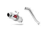 XL 600 V TRANSALP Marmitta Racing GP I Dominator Exhaust Terminale di Scarico Silenziatore 1987 1988 1989 1990 1991 1992 1993 1994 1995 1996 1997 1998 1999 2000