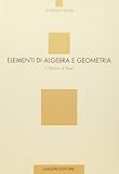 Elementi di algebra e geometria. Nozioni di base (Vol. 1)