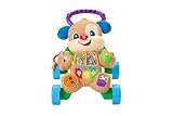 Fisher-Price - Cagnolino Primi Passi Smart Stages, con 3 livelli di gioco, 75+ canzoncine, luci e attività, versione italiano +ES+IN+PT, giocattolo per bambini, 6+ mesi, HWD62