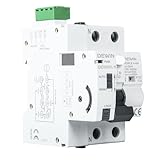 DEWIN Interruttore Differenziale a Riarmo Automatico 40A 30mA Salvavita con Riarmo Automatico DEWD9L-R RCCB Smart Interruttore di Protezione a Bassa Tensione 2P AC