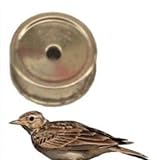 globe fishing richiami Uccelli fischi fischio richiamo tordo allodola Cesena Merlo Germano pavoncella Cornacchia (13 allodola)