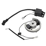 DXHSLH for K-T-M SX 50 Moto Bobina di Accensione Statore Volano Rotore Bobina Kit Magneto Sostituzione Motocross 2000-2013 Mini Moto