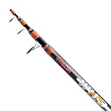 Falcon Mormora Due Vette Surfcasting, Wild 4005, 2 Tips Canna da Pesca, Bianco, Grigio, Vario, 4.00 mt X 100 gr