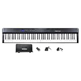 Farfisa | Piano Digitale MIDI Pieghevole e Portatile a 88 Tasti con funzione Touch, 2 Altoparlanti Stereo e Funzioni Didattiche Integrate, 126x25x6 cm
