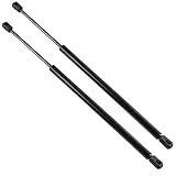 2 pistoncini portellone compatibile per Modus (1a generazione) (2004-2007) ammortizzatori cofano posteriore. 8200219322, 8453460