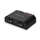 Adwits Box selettore switcher a 2 canali con morsetto 150W RMS per canale, nero