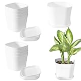 Ksvaye 10 Pezzi Vasi in Plastica 10 cm Bianco Vaso per Piante con Sottovaso Vaso Pianta Quadrata Vasi per Piante Interno Esterne (9 * 9 * 8cm)