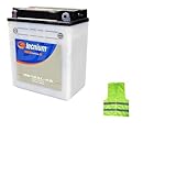 COMPATIBILE CON APRILIA Leonardo ST 150 da anno 1999 al 2004 BATTERIA YB12AL-A2 TECNIUM BB12AL-A2 BATTERIE 12 AMPERE 12 VOLT FORNITA COMPLETA PER L'UTILIZZO 134X80X160MM