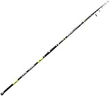 Fishing Ferrari Canna Beach Ledgering Queen 4.20 mt 100 gr