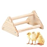 Stand Di Pollo Asta | Stand Di Allenamento Di Pollo Coop, Giocattoli Di Pollo per Coop E Allevatore | Barra Di Posatoio Di Pollame, Struttura Stabile Riposo per Ambiente